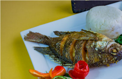 Rech-Ngege Tilapia